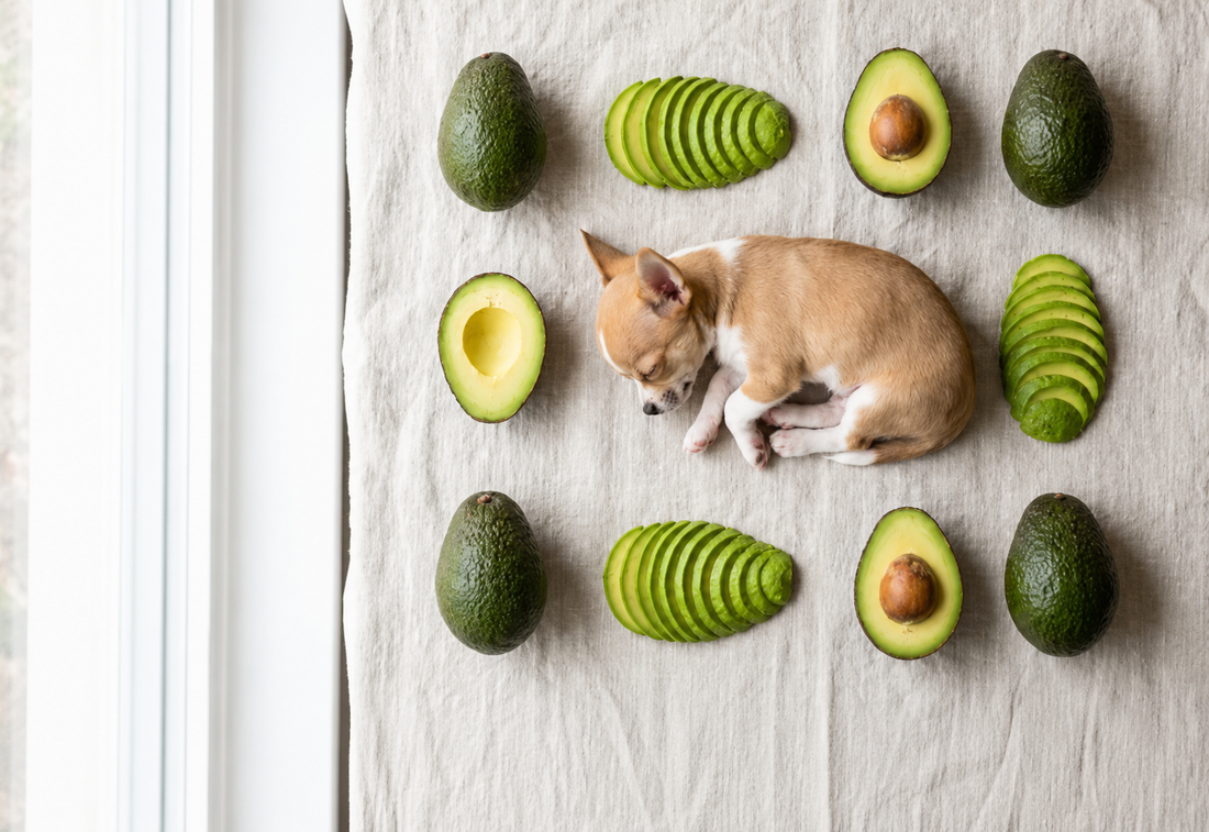 Is Avocado Low FODMAP?