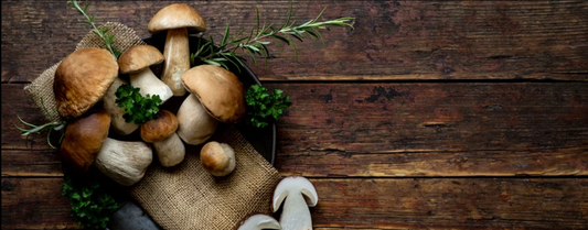 Are Mushrooms Low FODMAP?